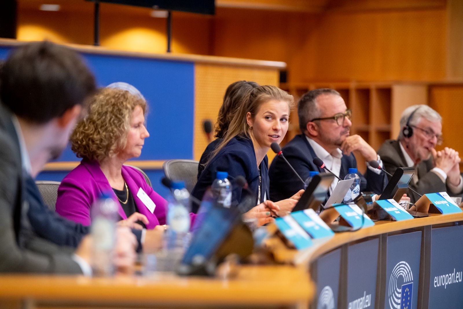 Panel de AES en el Parlamento Europeo, Bruselas 2024