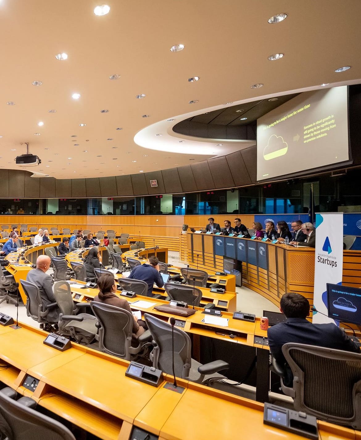 Intervención de AES en el Parlamento Europeo